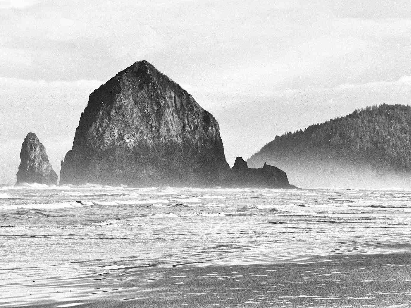 Haystack Rock & Terrible Tilly